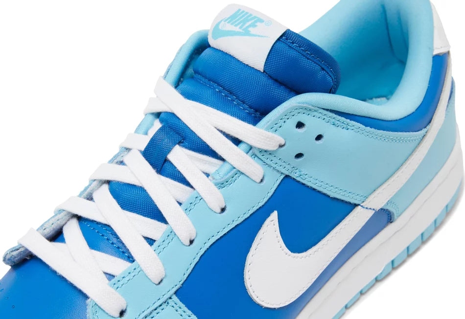 Nike Dunk Low Retro QS Argon (2022)