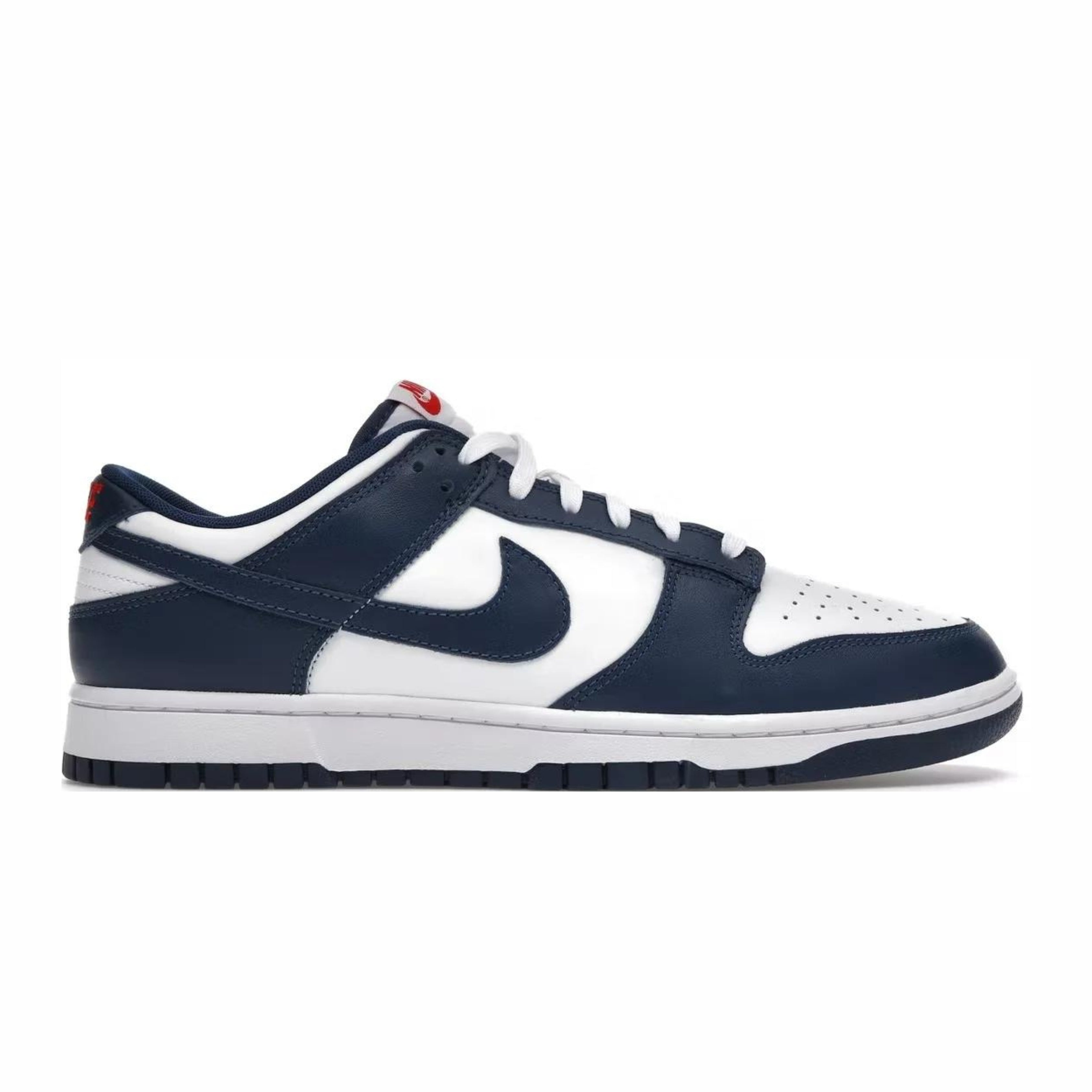 Nike Dunk Low Valerian Blue